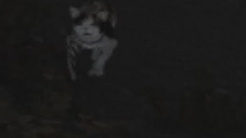 Modded Skyrim Special Edition Necromancer Part 17 Modded Cat vs Modded Bandits