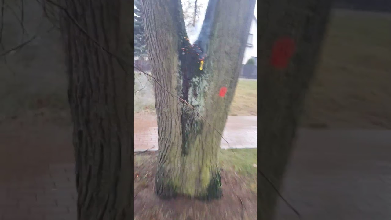 Zom Bum Polen Boller 2G 💥🧨 