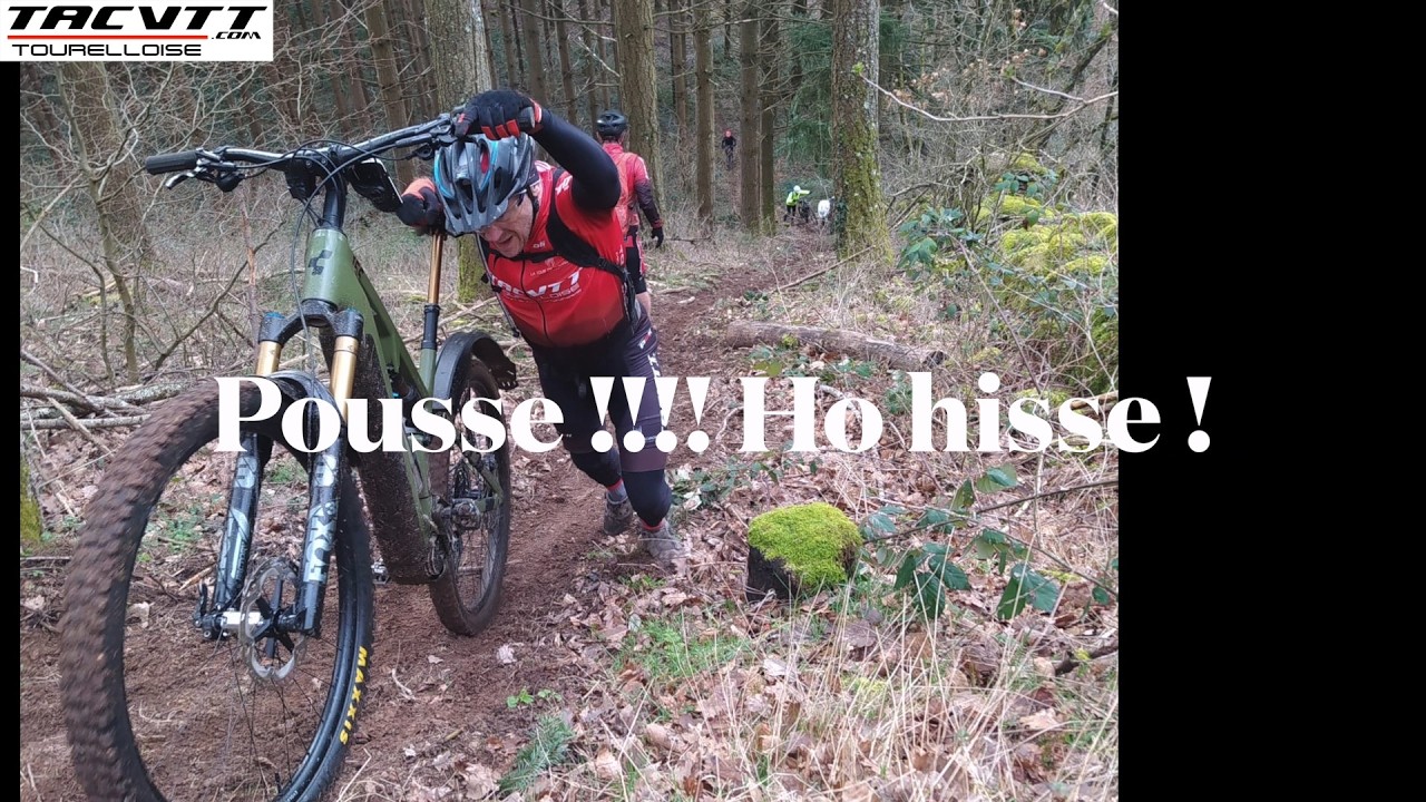 14 VTTAE aha ah à la queueleuleu