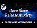 Soothing deep sleep meditation  release anxiety negativity and stress sleepy cat meditations
