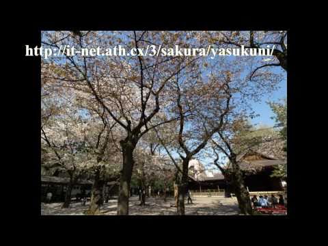靖国神社　2011年4月14日（平成23年） みんなのアルバム