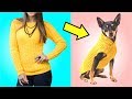 5 IDEIAS INCRÍVEIS DE ROUPAS FÁCEIS PARA CACHORROS E GATOS | TRANSFORMAÇÃO DE ROUPAS | IDER ALVES