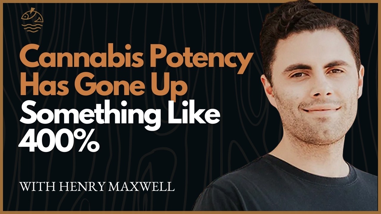 "Cannabis Potency Has Gone Up Something Like 400%" | The Reality of Modern Addiction Crisis
