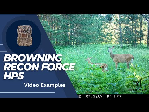 Browning Recon Force Elite HP5 Trail Camera Videos