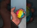 Video Image