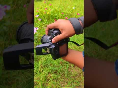 Canon EOS 3000D