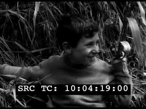 Bambini dell'acquedotto