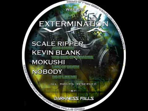 Dj Scale Ripper - acid storm (sample)