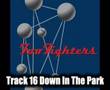 Foo Fighters - Down In The Park