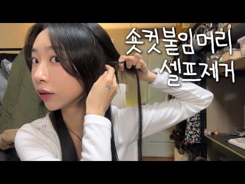 숏컷 붙임머리 절망편... | 가위 없이 셀프제거 꿀팁💡 | 비추천 후기 | 붙임머리 장단점