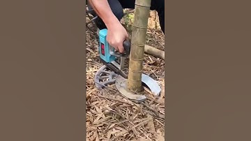 Bamboo tree cutting process  good tools can improve work efficiency