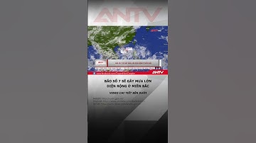 Tin bão khẩn cấp: Bão số 7 sẽ gây mưa lớn ở miền Bắc #antv #shorts #thoisu #baoso7