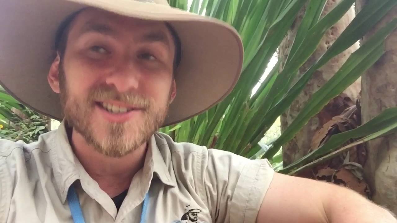 wildlife tea NOISE POLLUTION KILLING SQUIDS with Ranger Jamie