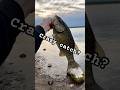 Wasn’t expecting this😭 #fishing #bassfishing #fyp #viral #shorts #bass #fishingvideo
