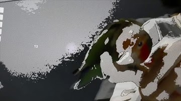 Comic Filter (HoloLens with OpenCV For Unity)