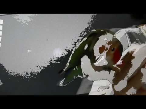 Comic Filter (HoloLens with OpenCV For Unity)