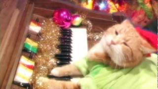 Keyboard Cat Plays 'Jingle Bells'!