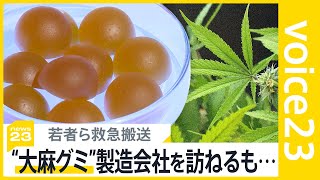 “大麻グミ”食べておう吐・めまい　若者ら救急搬送　街中・ネットで入手可能な実態も規制いたちごっこ【news23】｜TBS NEWS DIG