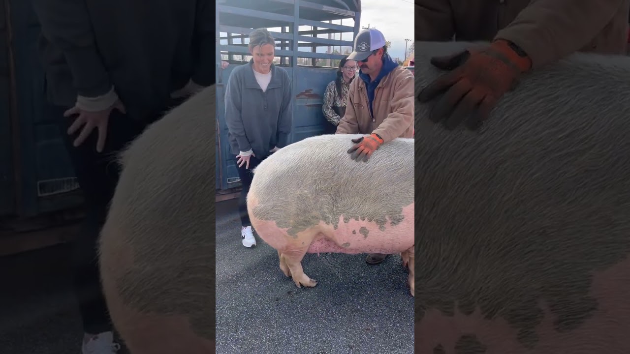 Are all principals like this? 