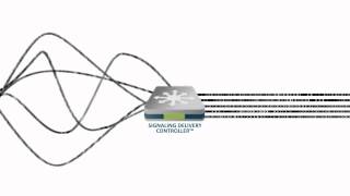 Diameter Signaling by the 4G & Diameter Experts: F5 Traffix