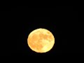 Восходящая луна,полнолуние 02.01.2018