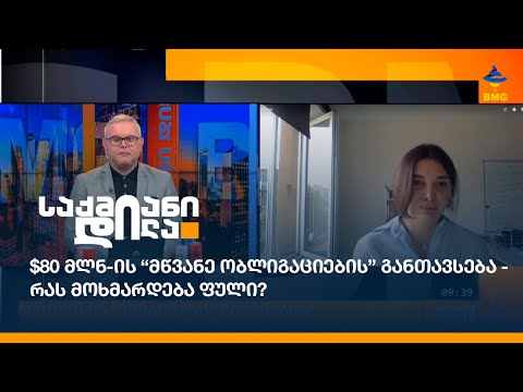 $80 მლნ-ის “მწვანე ობლიგაციების” განთავსება - რას მოხმარდება ფული?