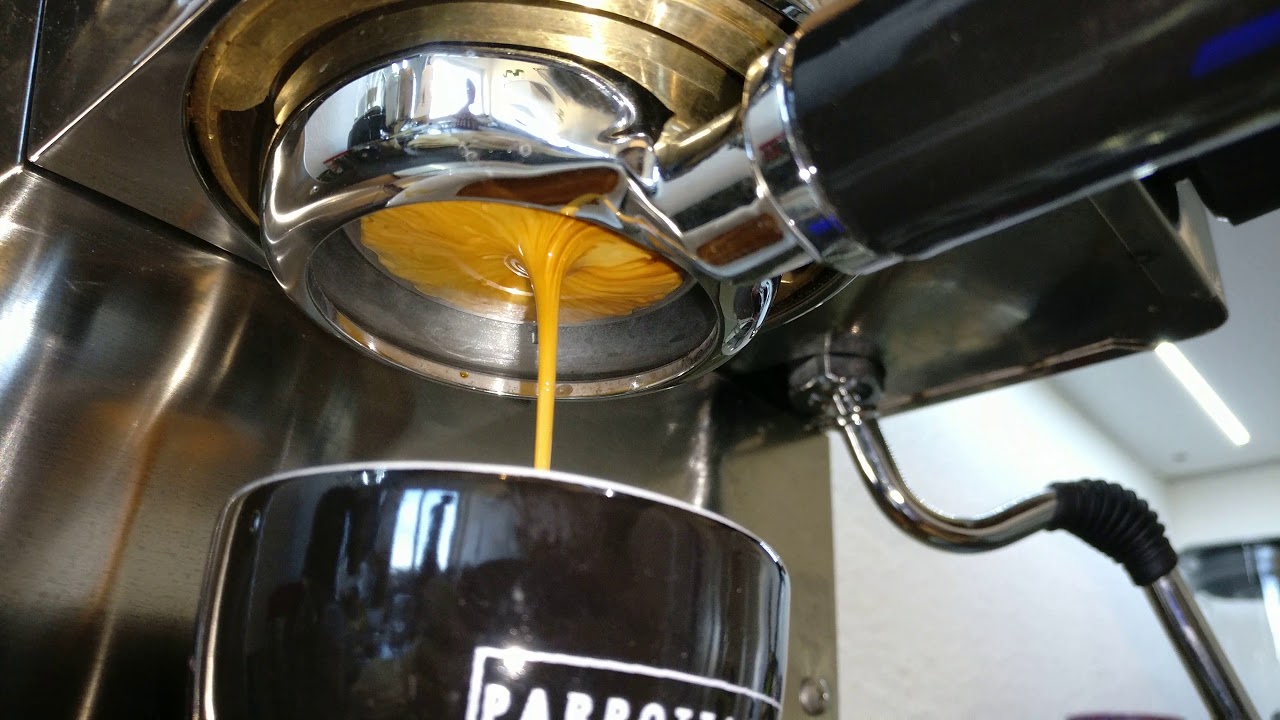 Rancilio Silvia with MeCoffee PID - YouTube