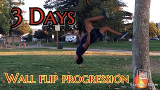 MY WALL FLIP PROGRESSION - 3 DAYS