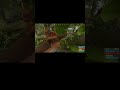 Pt. 1 | Tentokrát som sa rozhodol usalašiť v jungle…