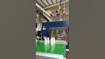 robot arm for producing milk cup with stack function work with conveyor belt 2