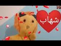 اغنية اسم شهاب الولد الشاطر السعودية الامارات تركيا العراق قطر مسقط البحرين الجزائر دبي الرياض