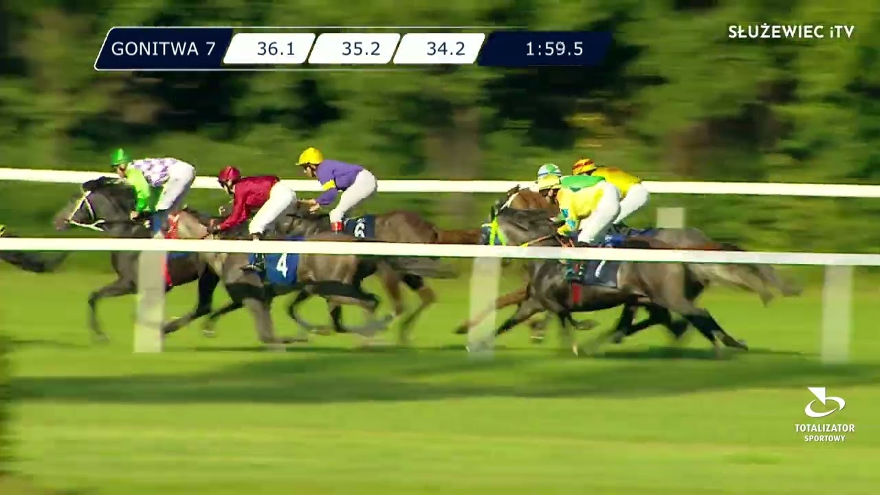 Derby Arabskie - Kat.A 24.07.2022 (Dzień 20; Gonitwa 7)