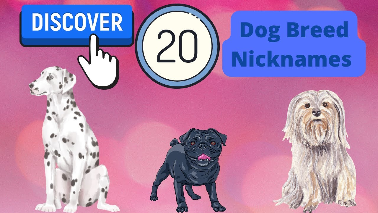 Discover 20 Dog Breed Nicknames (And How They Earned Them) YouTube