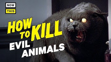 How to Kill Evil Animals | NowThis Nerd