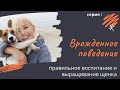 Врожденное поведение. Серия 1