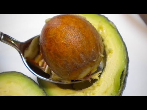 You'll Never Throw Away Avocado Seed After Watching This