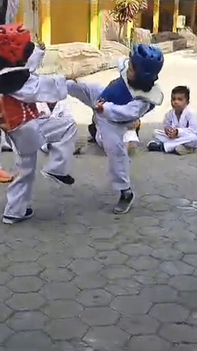 Anak kecil berkelahi viral #streetfighter #taekwondo #kucing #miawmiaw