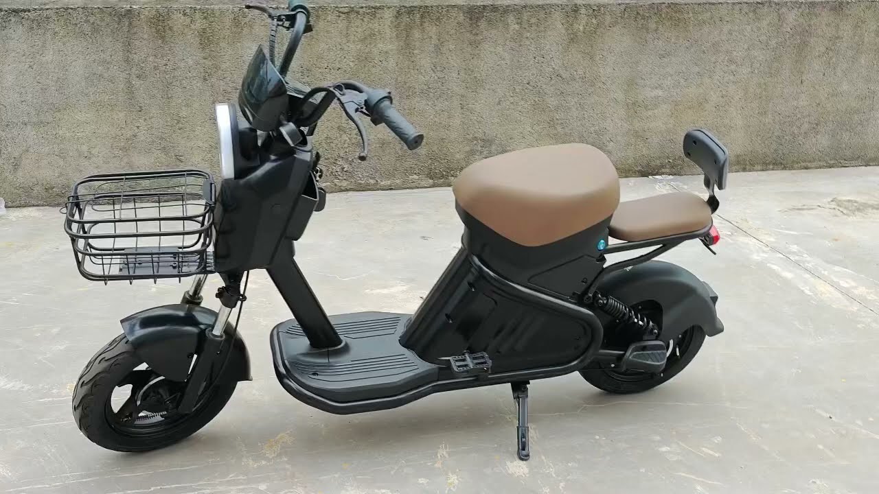 shansu jy-01 citycoco 1000w electric scooter factory
