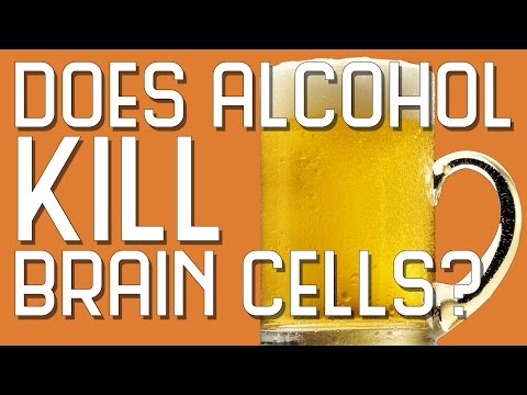 Согтууруулах ундаа тархины эсийг устгадаг уу?