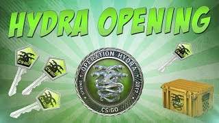 CS:GO - The Hydra Case Opening #2