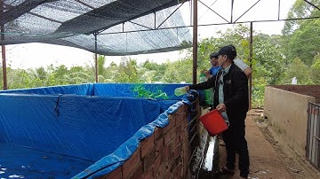 Tới Nơi Kiểm Tra Nước Xử Lý Thuốc Trước Khi Thả Ốc Bươu Đen Giống Cho Khách Ở Long Khánh Đồng Nai