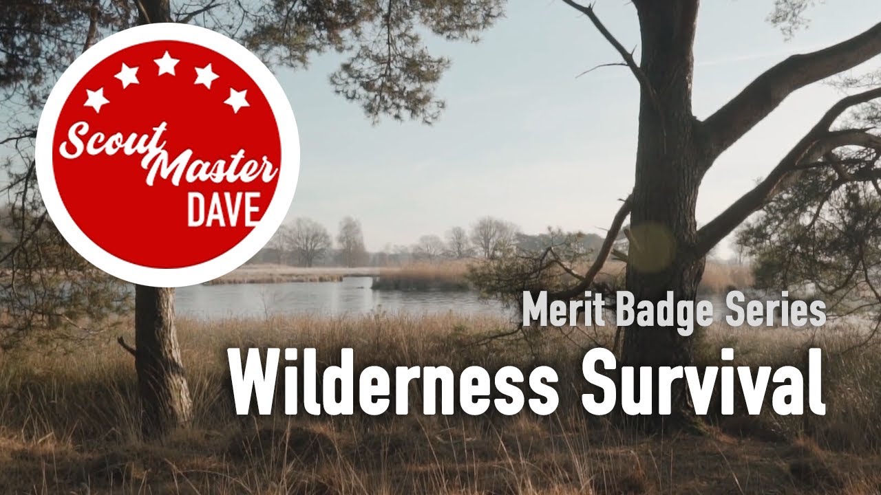 🏕️ Wilderness Survival Merit Badge Overview | ScoutMaster Dave
