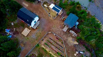 Enjoying small harvests and the little things | Ep. 17 The Homestead Diaries