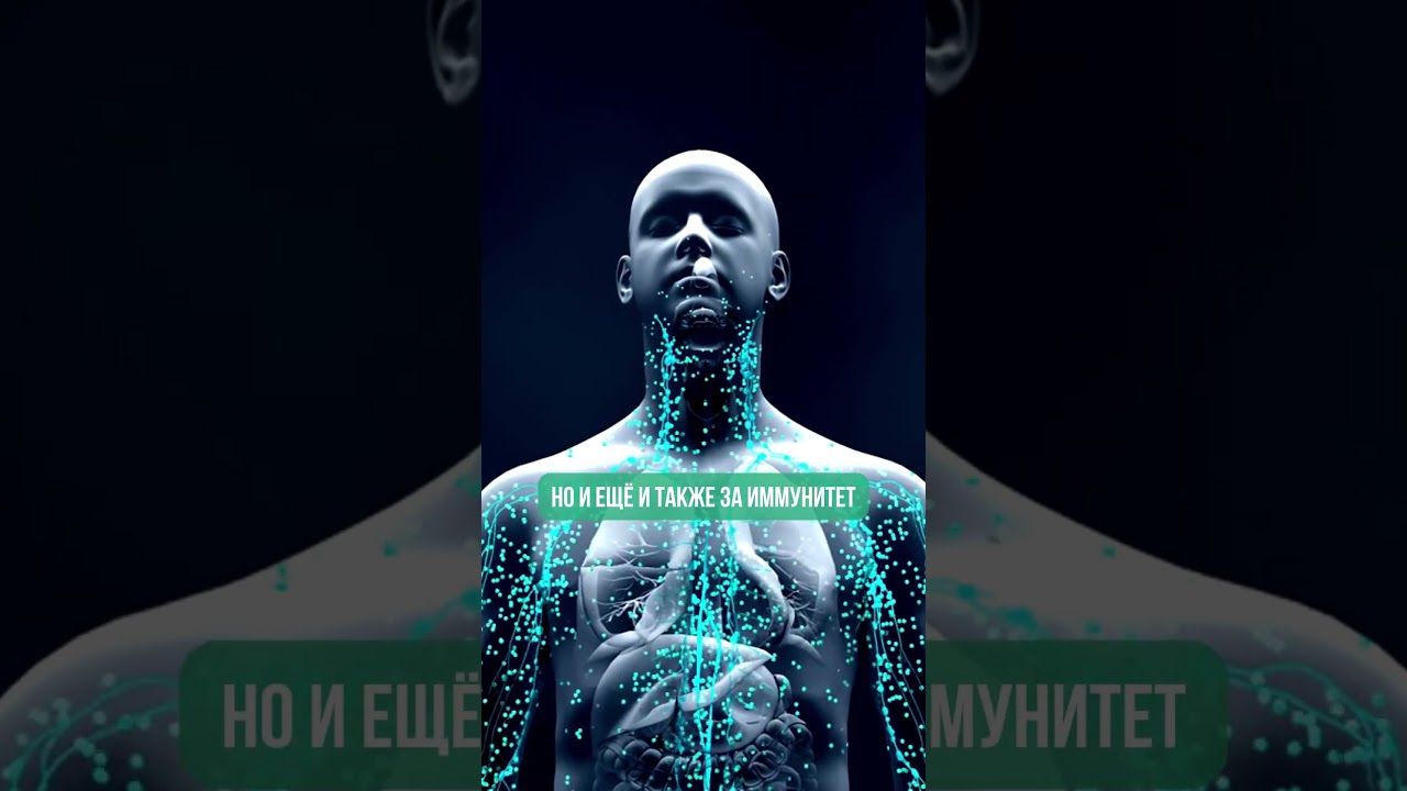 За что отвечает витамин D3? 