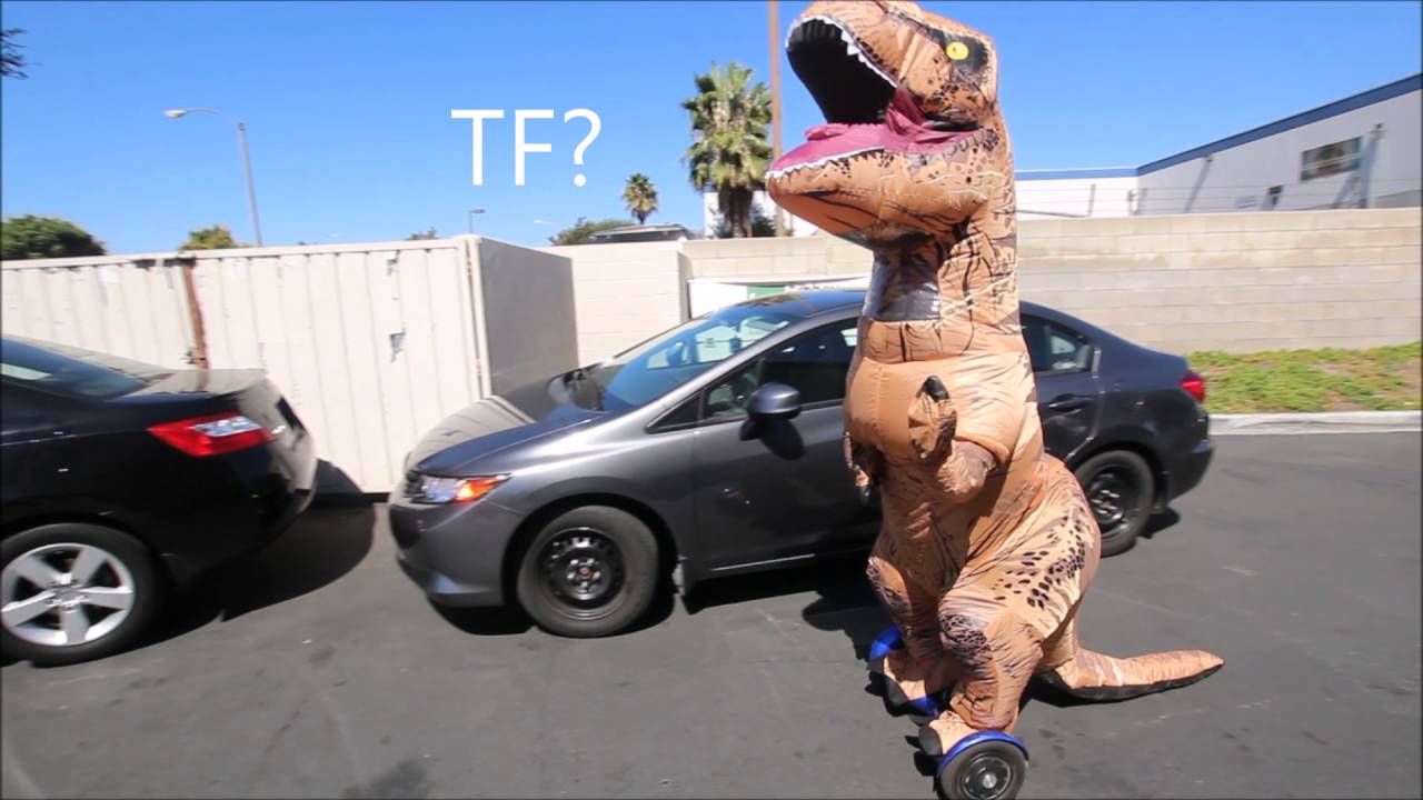 Primal Driven Ontario Car Meet