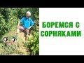 Как избавиться от сорняков | Тестируем народный способ