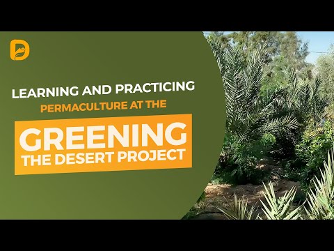 Learning and Practicing Permaculture at the Greening the Desert Project