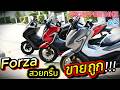 Forza มือสอง ( ต้องซื้อที่นี่ )🌟เข้าใหม่ 3 คันราคาโคตรดี ❤️ช้าอด !!!