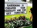 August 21, 2022 Container Garden Tour