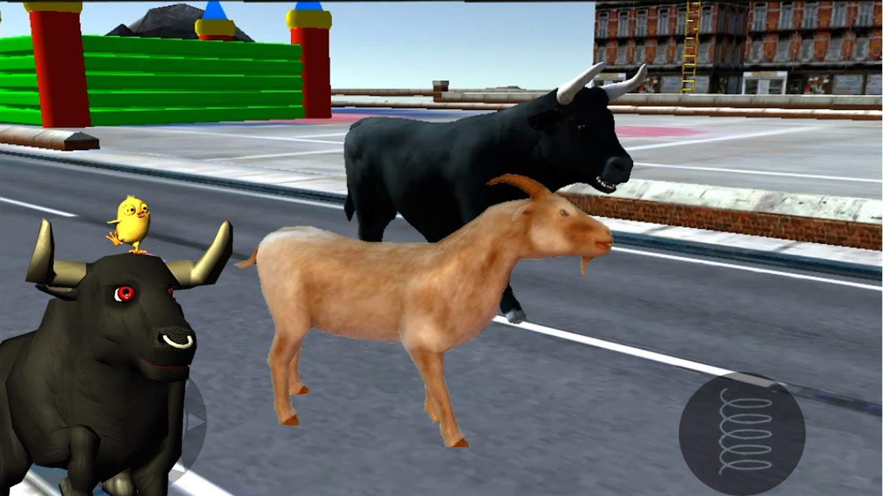 LA CABRA BUSCA AL TORO de la granja y a su primo el pollito pio